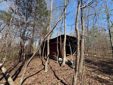 148 Chandler Ct, Greer, SC 29651 - photo 4