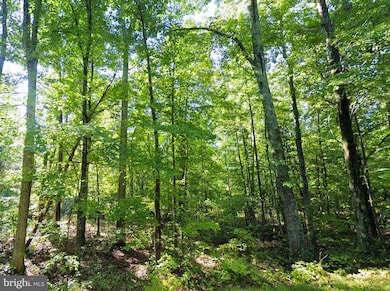 6067 Laurel Rd, Shipman, VA 22971 - photo 6