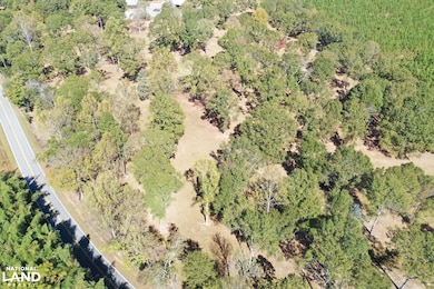 00 Baugh Rd unit 1, Liberty, SC 29657 - photo 7