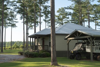 12404 Dozier Hwy, Brantley, AL 36009 - photo 6