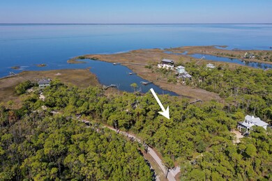 1909 Smugglers Cove Rd, St. George Island, FL 32328 - photo 4
