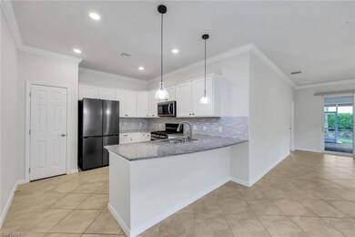 20005 Parrot Key Ct, Estero, FL 33928 - photo 6