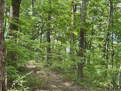 0 Williams St, Bluefield, VA 24605 - photo 2