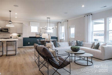 Representative photo only