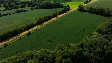 Lot 4 280th St, Glenwood City, WI 54013 - photo 2