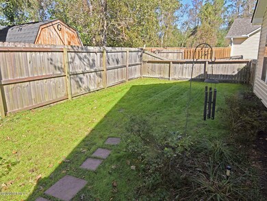 Backyard 3