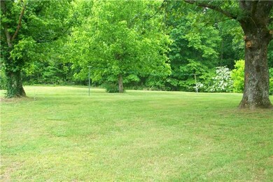Large side yard with large trees