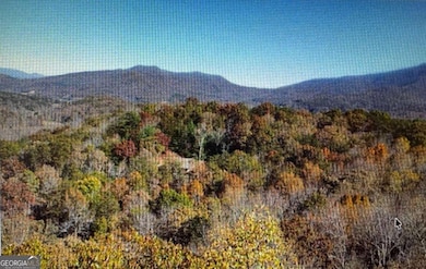 6 Morgan Ridge Ct, Young Harris, GA 30582 - photo 3