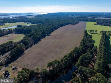 0 Folly Creek Rd unit VAAC2002456, Accomac, VA 23301 - photo 6