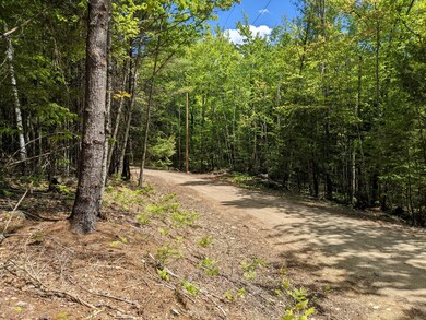 0 Fernald Hills Way unit 1532854, Stow, ME 04037 - photo 7