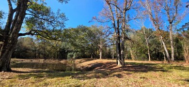 6 Acres N Broad St, Cowarts, AL 36321 - photo 4