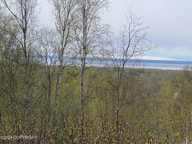 L9 B3 Country View Dr, Anchorage, AK 99567 - photo 2