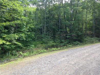 A driveway cut is possible from...