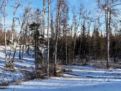 0187_1739327155268_photo