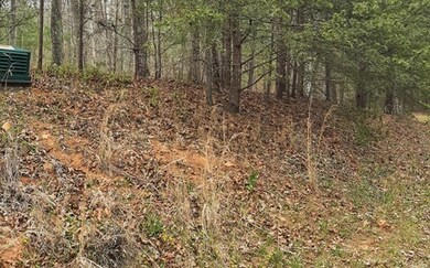 LT 21 Logan Dr, Mineral Bluff, GA 30559 - photo 4