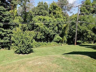 Yard/Garden.