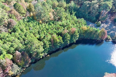 Lot 131 Metompkin Rd unit 131, Parksley, VA 23421 - photo 4