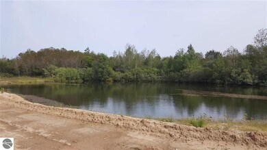 0 Turtle Rd, National City, MI 48748 - photo 3