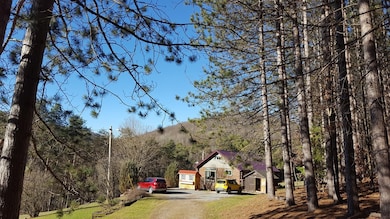 main view