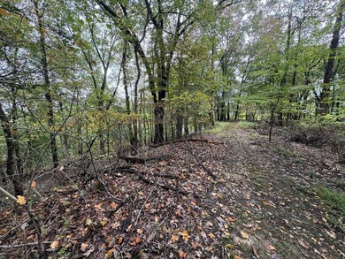 288 Walnut Dr, Logan, OH 43138 - photo 5