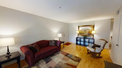 1-900-Mountain-Creek-Apt-O206-LIVING-ROO