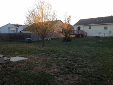 back yard