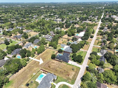 812 Briarmeadow Ave, Friendswood, TX 77546 - photo 6