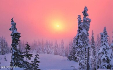 Pink Sky