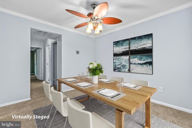 Chestnut Grove Condominiums unit 343, Reston, VA 20190 - photo 3