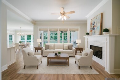 12214 Deventer Dr, Geismar, LA 70734 - photo 4