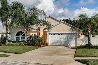 533 Cypress View Dr, Oldsmar, FL 34677 - photo 3