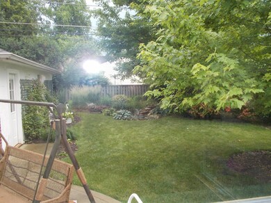 2023 Rear yard