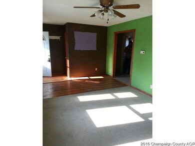 704 E Houghton St, Tuscola, IL 61953 - photo 5