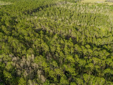 0 12th Ave unit MFRT3503635, Deland, FL 32724 - photo 6