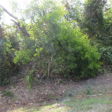 12348 Dolphin Rd, Pine Island Center, FL 33922 - photo 2