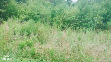 1216 White Ave, Shelby, NC 28150 - photo 4