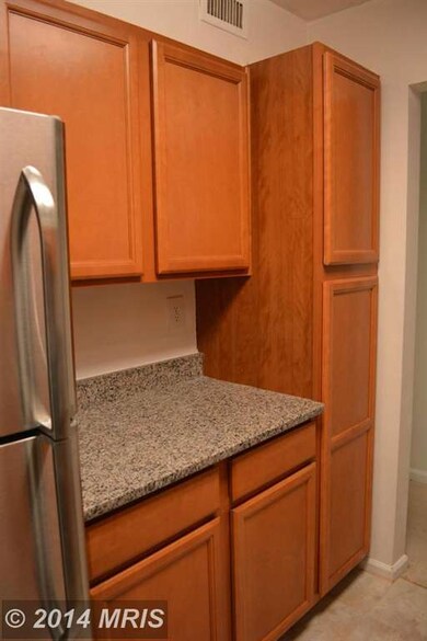 5801 Cove Landing Rd unit 201, Burke, VA 22015 - photo 7