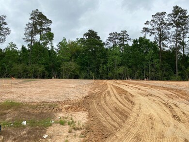 31214 Raleigh Creek Dr, Tomball, TX 77375 - photo 3