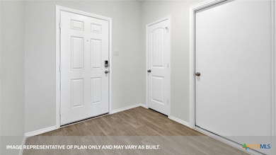 723 Wild Olive Way, Seguin, TX 78155 - photo 3