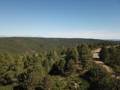 33021 Big Springs Overlook, Trinidad, CO 81082 - photo 7