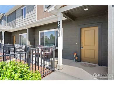 3603 Ronald Reagan Ave, Wellington, CO 80549 - photo 2