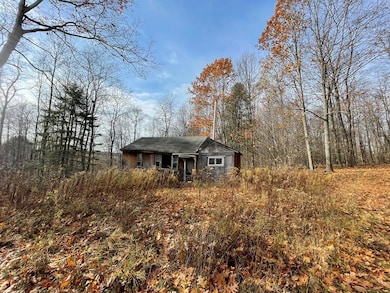 443 S Branch Rd, Coudersport, PA 16915 - photo 2