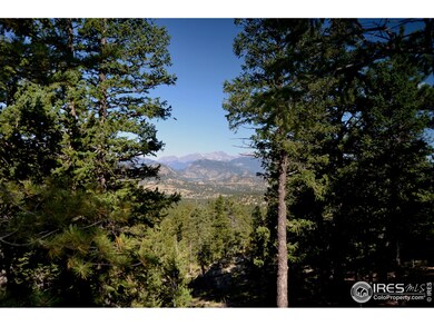 Peek through the trees