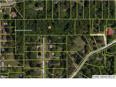 Lot is the Large Rectangle in the Middle where 4th