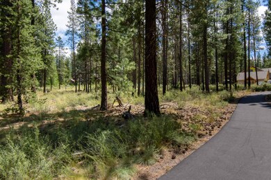 266 Sable Rock Loop-3