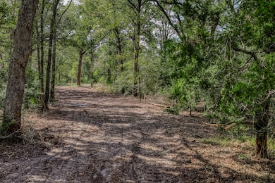 Tract 2 Sun Oil Rd, Brenham, TX 77833 - photo 4