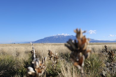 Gardenia Ave, Blanca, CO 81123 - photo 5