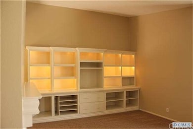 Built in Lighted Cabinetry in the Living Room