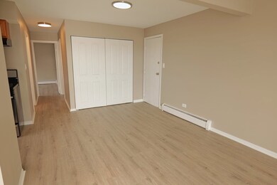 3652 W 119th St unit 304, Alsip, IL 60803 - photo 3