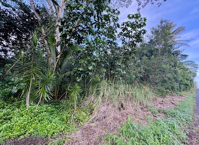 0 Kahakai Blvd unit 725669, Pahoa, HI 96778 - photo 5